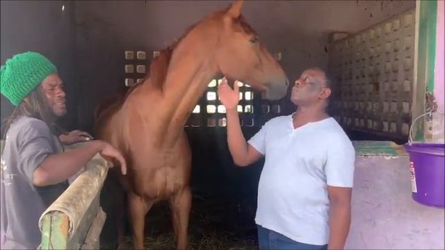 Barbados Racing "Racing Legends" смотреть онлайн