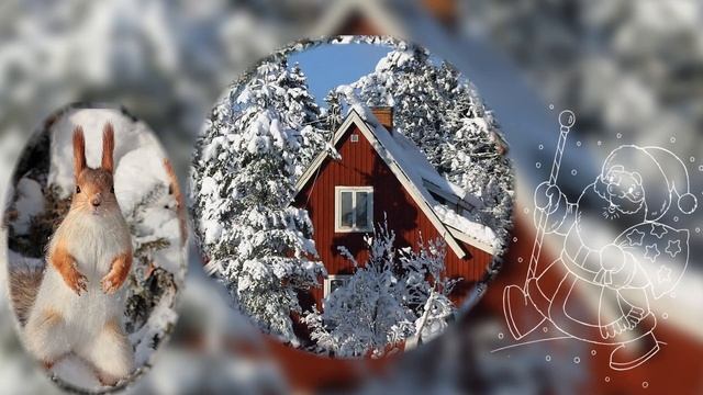 зимний лес смотреть онлайн