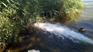 Сила самодельного водомёта на карповом кораблике.