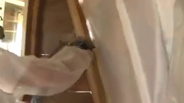 Утепление бани  Теплоизоляция стен, кровли и веранды