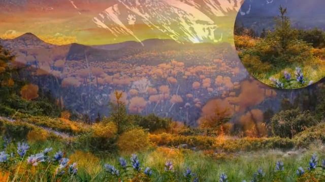 Эффект лупы смотреть онлайн