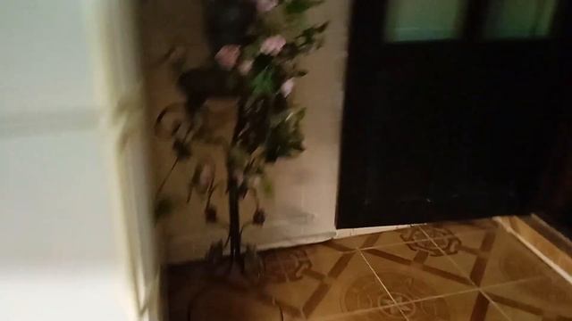 Нерест. Расбора Клинопятнистая. Коридорас.