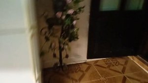 Нерест. Расбора Клинопятнистая. Коридорас.
