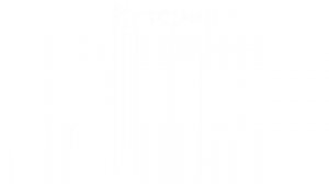 Гироскоп. История, виды, принцип работы.