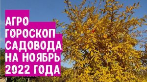 Агрогороскоп садовода на ноябрь 2022 года.  Агрогороскоп садівника на листопад 2022 року