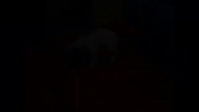 Мой пес Марс смотреть онлайн