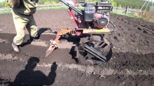 ПОСАДКА КАРТОШКИ В БОРОЗДЫ ПРИ ПОМОЩИ МОТОБЛОКА