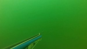 Живая речка!подводная охота на малых реках 2019!