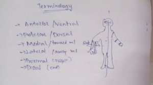 Terminologies used in anatomy|Simple explanation in Tamil |Sukumiii