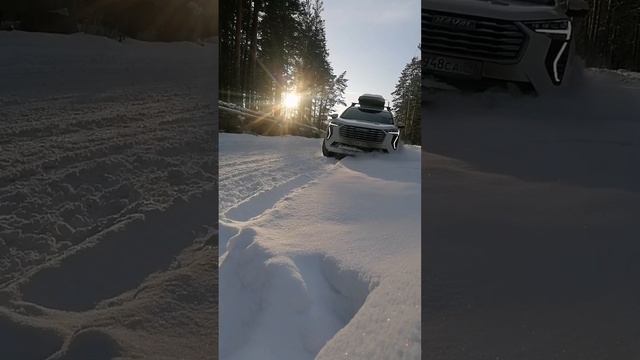 Winter Jolion 4wd