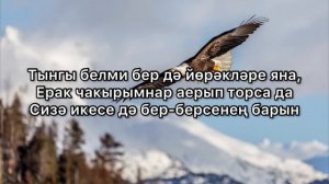 Фарид Низамиев — Аккош белән бөркет