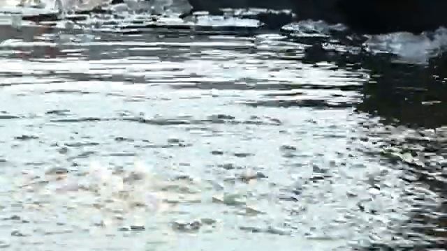 В Благовещенске водолазы искали своего товарища подо льдом Зеи смотреть онлайн