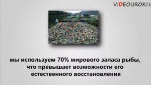 Всемирный день защиты животных