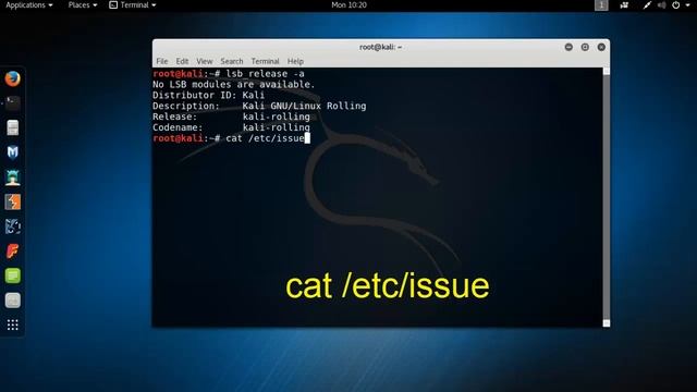 How to Check Kali Linux Version смотреть онлайн