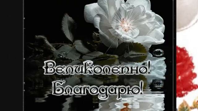Проект за прекрасную жизнь отзывы