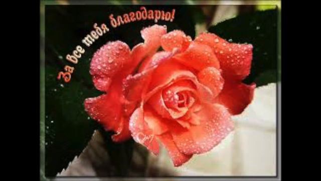 GS4739 За всё тебя благодарю! смотреть онлайн