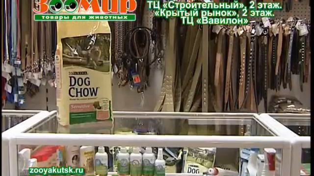 Магазин ЗооМир Якутск смотреть онлайн