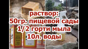 СРОЧНО ДЛЯ ОГУРЦОВ!!! СОДА ПИЩЕВАЯ - СПАСАТЕЛЬ ВАШЕГО ОГОРОДА!