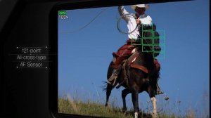 OM System OM-5 vs Olympus OM-D E-M5 Mark III: Which One Should You Buy?