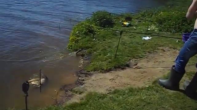 21.05 - ЛоВлЯ кАрАсЯ и КаРпА в РаМеНсКоМ рЫбХоЗе гЖеЛкА смотреть онлайн