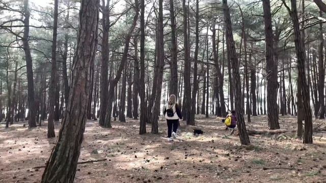 Голубая бездна Геленджик как доехать