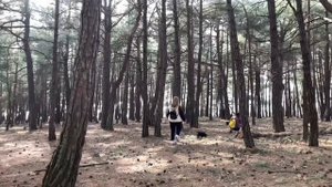 Голубая бездна Геленджик как доехать