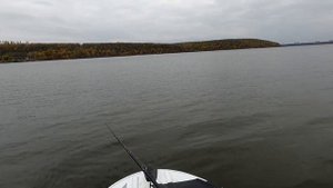 Дневной судак в октябре на водохранилище