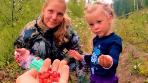 Лето лес и земляника