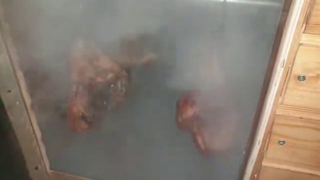 ГОРЯЧЕЕ КОПЧЕНИЕ С ПАРОМ К ПРАЗДНИКУ