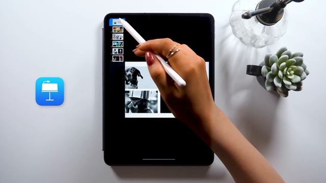 SECRET Screenshot Hacks on iPad !! смотреть онлайн