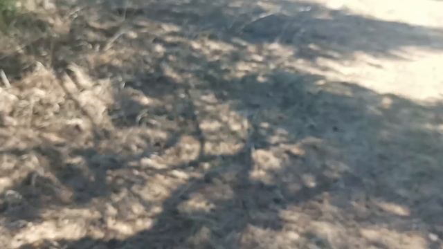 ПВР РЕЙСИНГ 250 (МОТОЛЕНД) смотреть онлайн