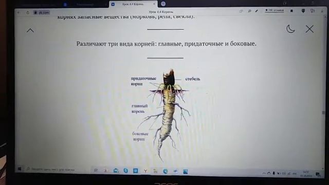 Нескучная биология смотреть онлайн