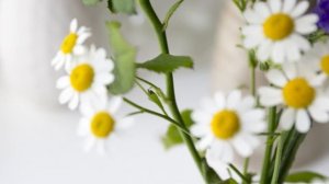 Предметная фотосъемка в домашних условиях. Урок 8. Фокусировка