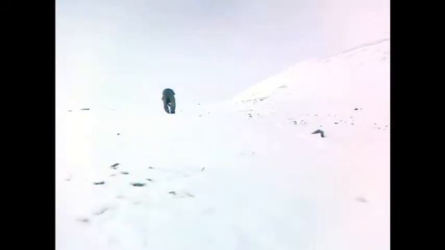 Охота на Чукотке