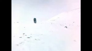 Охота на Чукотке