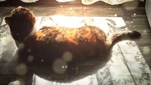 Соня умывается