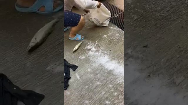 КАК ЛЕГКО И БЫСТРО ПОЧИСТИТЬ СУДАКА, #LEVREK NASIL TEMIZLENIR. #СУДАК смотреть онлайн