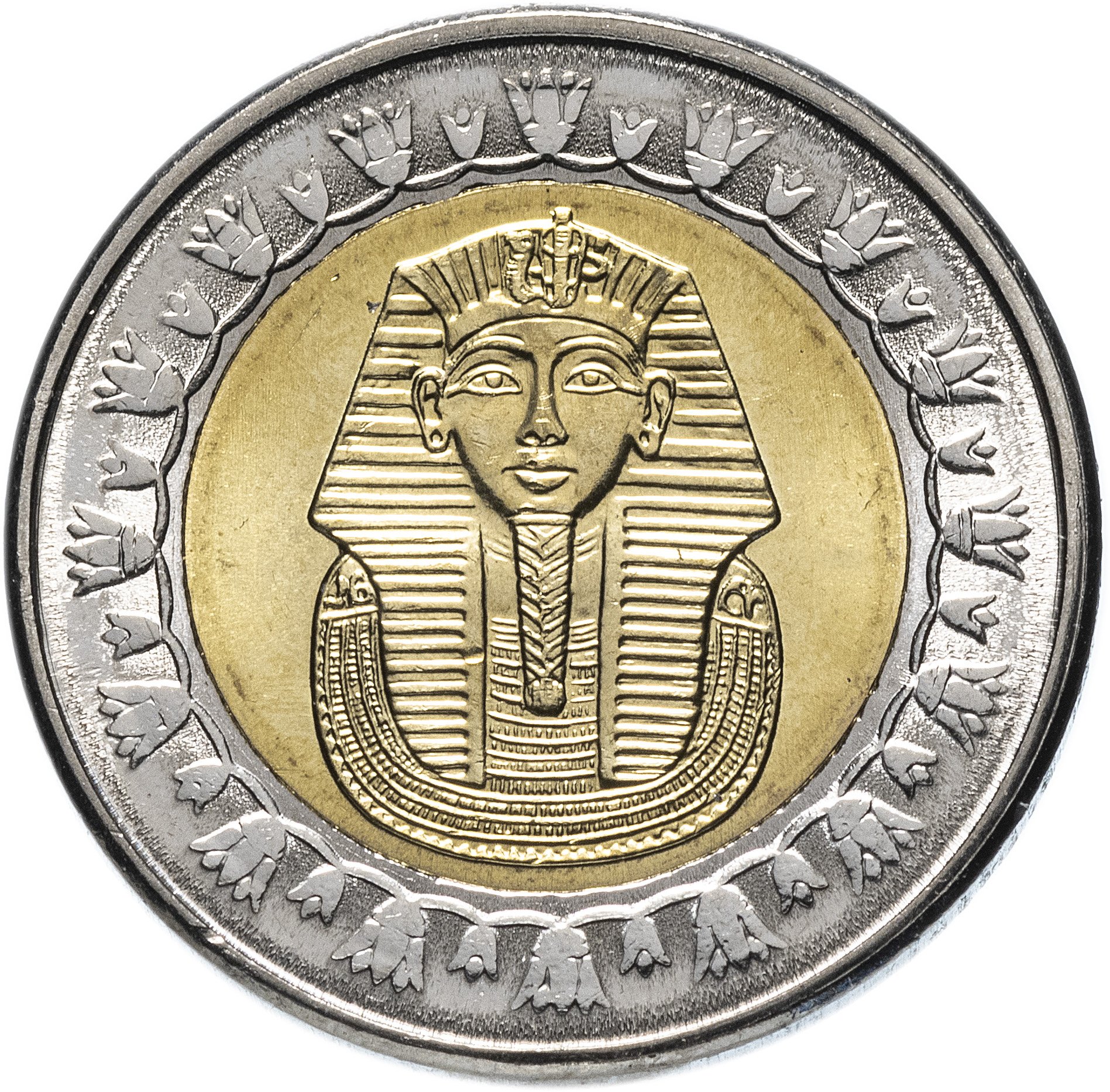 Монеты мира.Монеты Египта.Один фунт Египта.ONE POUND.Нумизматика.НумизматКоллекция.Startup-№86