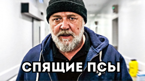 Спящие псы