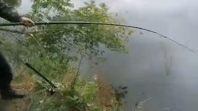 Рыболовная хитрость. смотреть онлайн