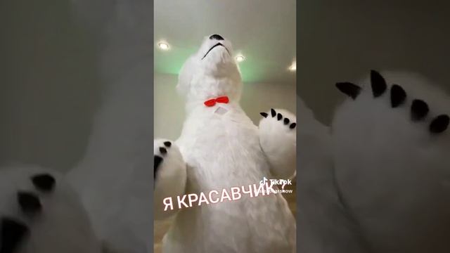 ?Белый медведь с уникальными движениями! ??