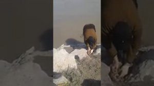 рыбалка на тереке.         #рыбалка