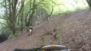 new honda crf 250x expert