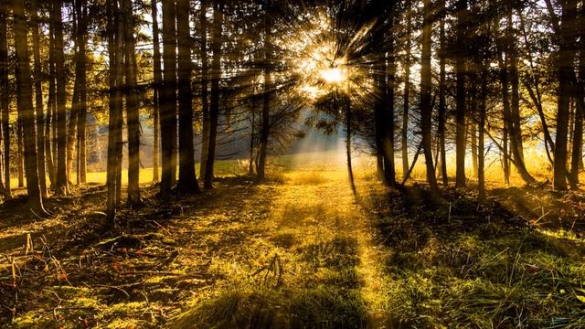 Бриндабан История (Индия) смотреть онлайн