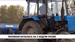 Сев ранних зерновых завершается в Хабаровском крае