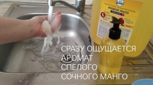 Londix, жидкое мыло манго, гипоаллергенное, экологичное