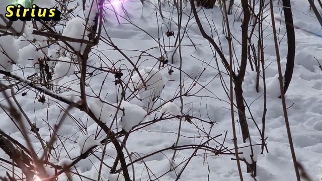 6 января Рождественский Сочельник: что категорически нельзя делать смотреть онлайн