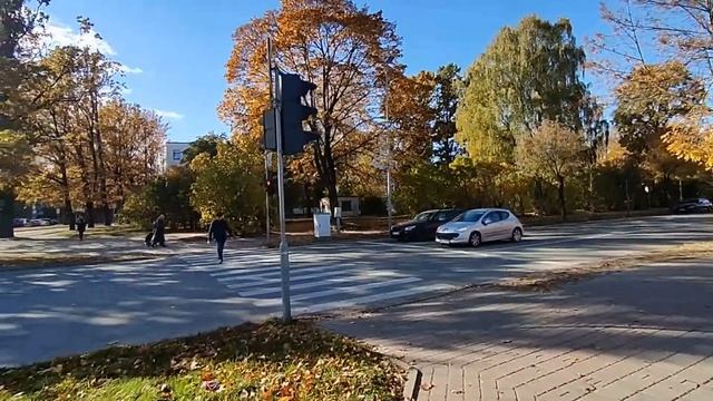 ЕДЕМ К СЕМЕЙНОМУ ВРАЧУ . ПРОГУЛЯЛИСЬ ПО ОСЕННЕМУ ГОРОДУ . В ЕЛГАВЕ ЗОЛОТАЯ ОСЕНЬ 12 ОКТЯБРЯ 2022 смотреть онлайн