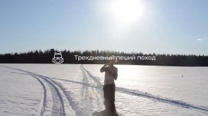 Морошка тизер