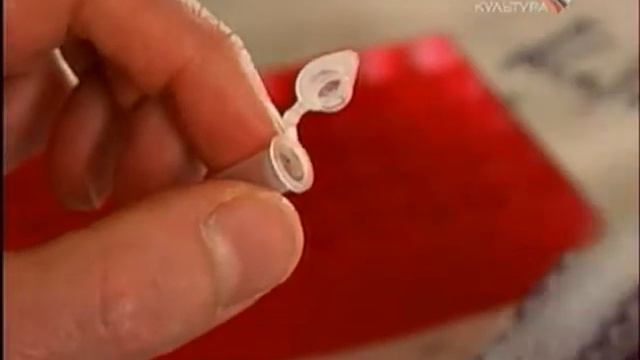 Загадки ДНК.Поиски Адама часть4 смотреть онлайн